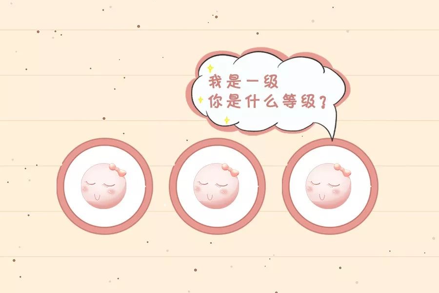 什么是胚胎等级？