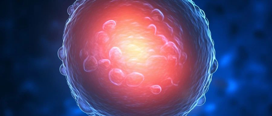 “胎停育”多发生于这个孕周！