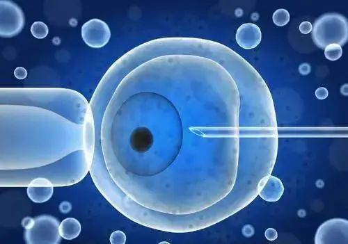 试管婴儿取卵疼吗？出血吗？