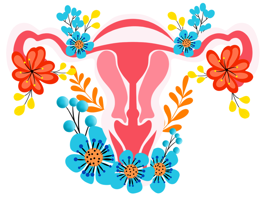 取卵后如何保养卵巢？多久宜再取卵？