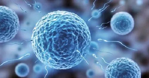 试管婴儿取卵、取精前后注意事项大集合