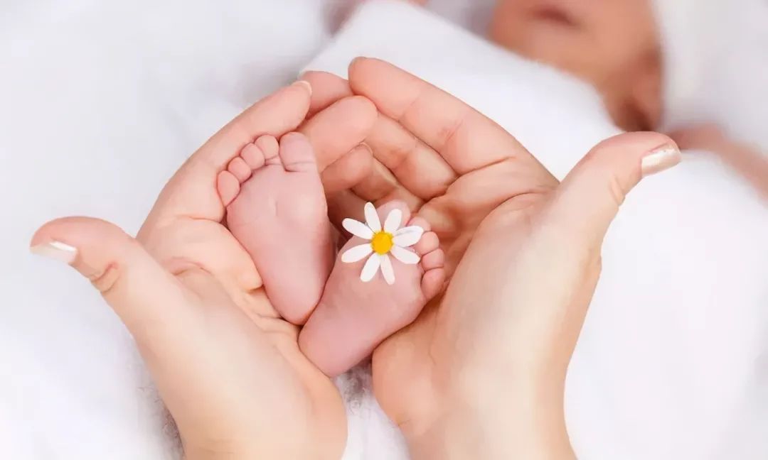 太胖？营养不良？卵子不好？备孕中的需要被攻破的难题